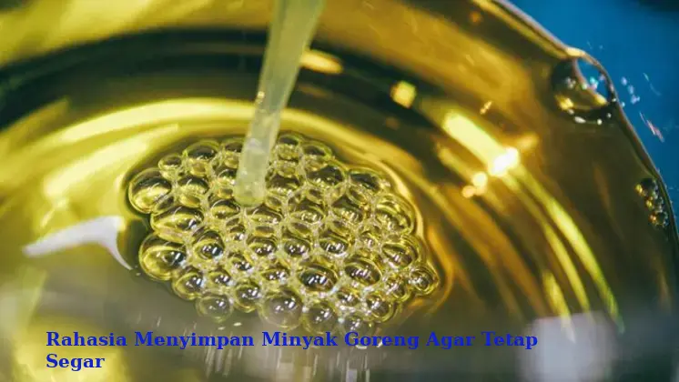 Rahasia Menyimpan Minyak Goreng Agar Tetap Segar