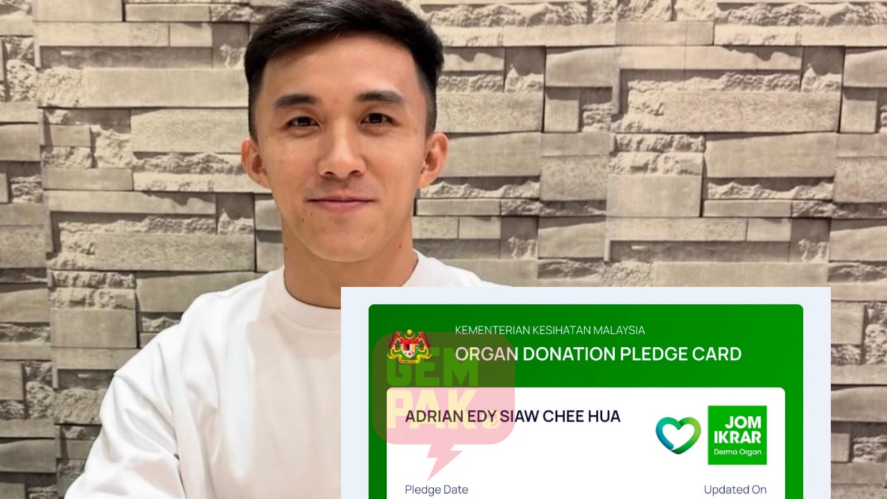 penderma organ Perkembangan penderma organ yang Perlu Diketahui penderma organ - ilustrasi berita Perkembangan penderma organ yang Perlu Diketahui